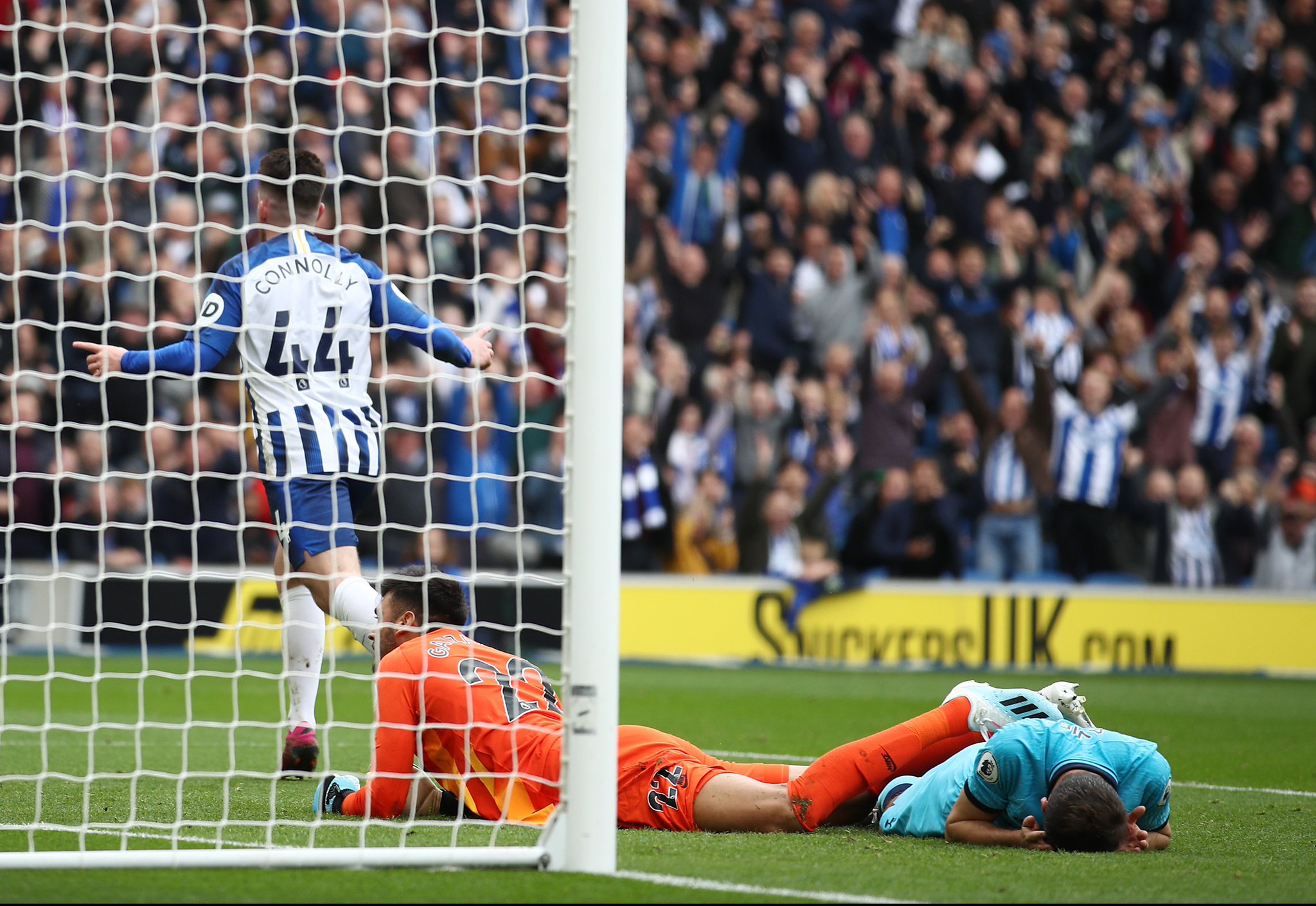 从而影响到 从而影响到