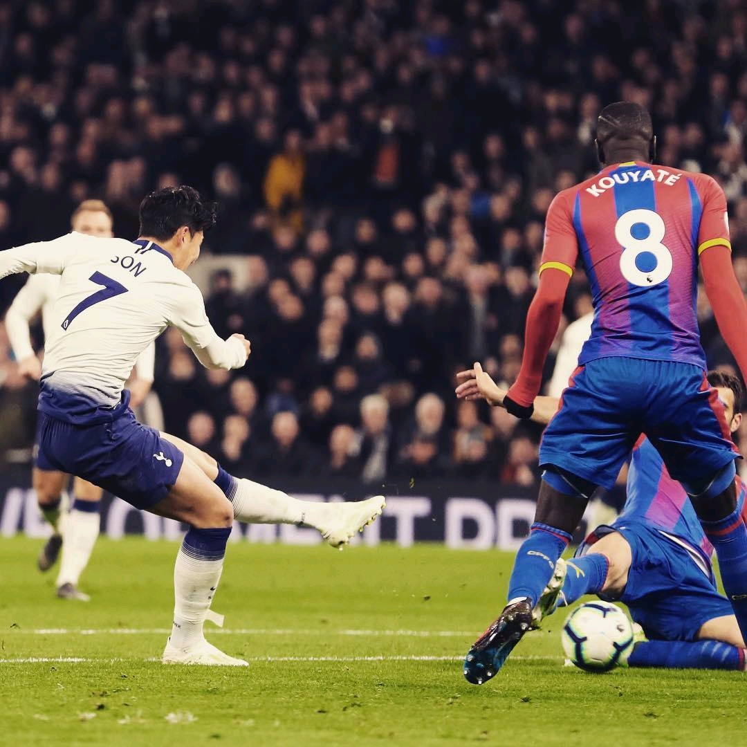 卡迪夫城足 卡迪夫城足